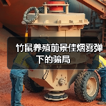 竹鼠养殖前景佳烟雾弹下的骗局（图4）
