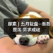 尿素 | 五月复盘--涨后震荡 需求成谜(图3) 尿素 | 五月复盘--涨后震荡 需求成谜(图3)