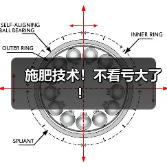 施肥技术!不看亏大了!(图3) 施肥技术!不看亏大了!(图3)