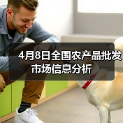 4月8日全国农产品批发市场信息分析（图3）