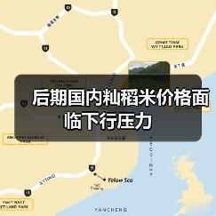 后期国内籼稻米价格面临下行压力（图3）