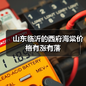 山东临沂的西府海棠价格有涨有落（图4）