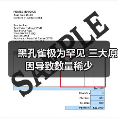 黑孔雀极为罕见 三大原因导致数量稀少(图2) 黑孔雀极为罕见 三大原因导致数量稀少(图2)