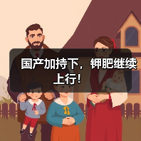 国产加持下,钾肥继续上行!(图3) 国产加持下,钾肥继续上行!(图3)