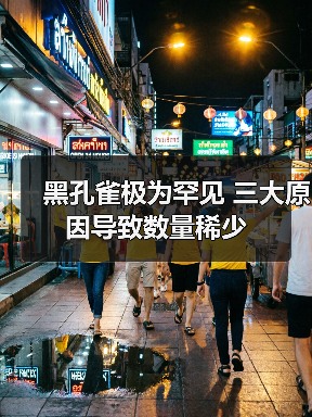 黑孔雀极为罕见 三大原因导致数量稀少(图1) 黑孔雀极为罕见 三大原因导致数量稀少(图1)