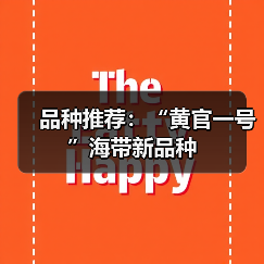 品种推荐：“黄官一号”海带新品种（图4）