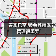 春季已至 獭兔养殖季节管理很重要（图4）