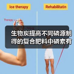 生物炭提高不同磷源制得的复合肥料中磷素有效性的研究(图1) 生物炭提高不同磷源制得的复合肥料中磷素有效性的研究(图1)