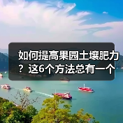 如何提高果园土壤肥力?这6个方法总有一个适合你(图2) 如何提高果园土壤肥力?这6个方法总有一个适合你(图2)
