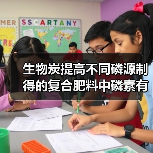 生物炭提高不同磷源制得的复合肥料中磷素有效性的研究(图4) 生物炭提高不同磷源制得的复合肥料中磷素有效性的研究(图4)