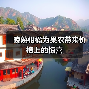 晚熟柑橘为果农带来价格上的惊喜(图1) 晚熟柑橘为果农带来价格上的惊喜(图1)