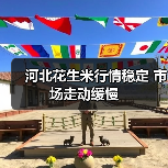 河北花生米行情稳定 市场走动缓慢(图3) 河北花生米行情稳定 市场走动缓慢(图3)