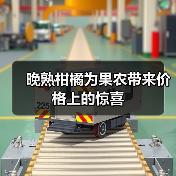 晚熟柑橘为果农带来价格上的惊喜(图3) 晚熟柑橘为果农带来价格上的惊喜(图3)