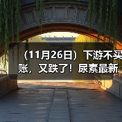 (11月26日)下游不买账,又跌了!尿素最新报价(图2) (11月26日)下游不买账,又跌了!尿素最新报价(图2)