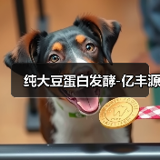 纯大豆蛋白发酵-亿丰源（图3）