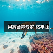 果蔬营养专家-亿丰源（图4）