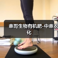 鼎哥生物有机肥-中鼎农化（图3）