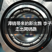 滞销带来的新出路 李子走出网销路（图2）