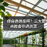 你会选蔬菜吗？三大要点教会你选蔬菜（图2）