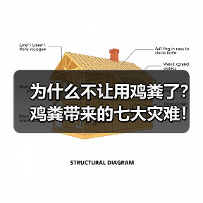 为什么不让用鸡粪了?鸡粪带来的七大灾难!自己看吧!(图3) 为什么不让用鸡粪了?鸡粪带来的七大灾难!自己看吧!(图3)