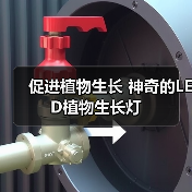 促进植物生长 神奇的LED植物生长灯(图4) 促进植物生长 神奇的LED植物生长灯(图4)