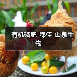 有机磷肥-鄂佳-山泉生物（图3）