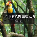 生物有机肥-三峡-山泉生物（图3）