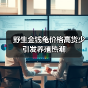 野生金钱龟价格高货少 引发养殖热潮（图2）
