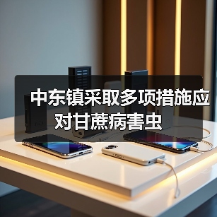 中东镇采取多项措施应对甘蔗病害虫（图4）