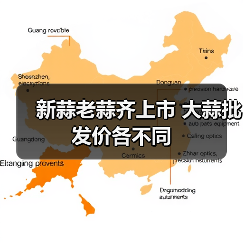 新蒜老蒜齐上市 大蒜批发价各不同 新蒜老蒜齐上市 大蒜批发价各不同