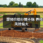 豪猪价格行情不稳 养殖风险偏大（图2）