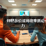 钾肥涨价或将迎来新动力(图4) 钾肥涨价或将迎来新动力(图4)