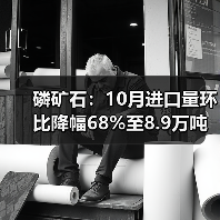 磷矿石:10月进口量环比降幅68%至8.9万吨(图3) 磷矿石:10月进口量环比降幅68%至8.9万吨(图3)