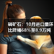 磷矿石:10月进口量环比降幅68%至8.9万吨(图4) 磷矿石:10月进口量环比降幅68%至8.9万吨(图4)