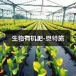 生物有机肥-恩特施（图4）