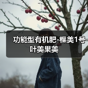 功能型有机肥-棵美1号-叶美果美(图4) 功能型有机肥-棵美1号-叶美果美(图4)