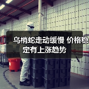 乌梢蛇走动缓慢 价格稳定有上涨趋势（图2）