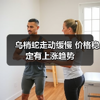 乌梢蛇走动缓慢 价格稳定有上涨趋势（图3）