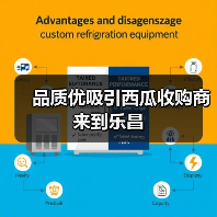 品质优吸引西瓜收购商来到乐昌（图3）