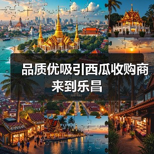 品质优吸引西瓜收购商来到乐昌（图2）