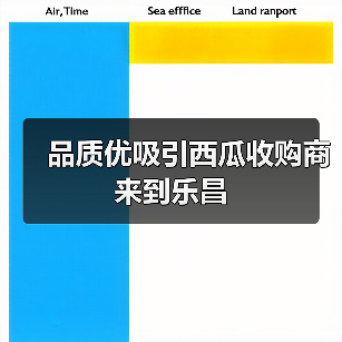 品质优吸引西瓜收购商来到乐昌（图4）