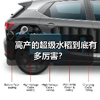 高产的超级水稻到底有多厉害? 高产的超级水稻到底有多厉害?