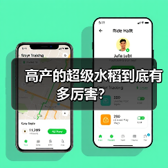 高产的超级水稻到底有多厉害?(图2) 高产的超级水稻到底有多厉害?(图2)