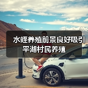 水蛭养殖前景良好吸引平湖村民养殖（图2）