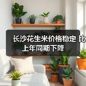 长沙花生米价格稳定 比上年同期下降（图3）