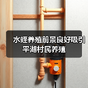 水蛭养殖前景良好吸引平湖村民养殖（图4）