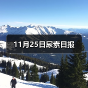 11月25日尿素日报(图1) 11月25日尿素日报(图1)