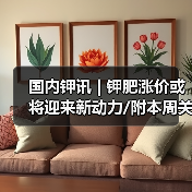 国内钾讯 | 钾肥涨价或将迎来新动力/附本周关注(2024.11.25)(图2) 国内钾讯 | 钾肥涨价或将迎来新动力/附本周关注(2024.11.25)(图2)