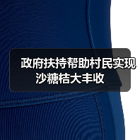 政府扶持帮助村民实现沙糖桔大丰收(图1) 政府扶持帮助村民实现沙糖桔大丰收(图1)