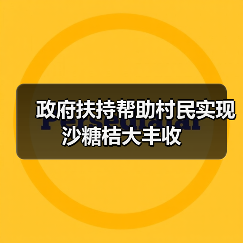 政府扶持帮助村民实现沙糖桔大丰收 政府扶持帮助村民实现沙糖桔大丰收